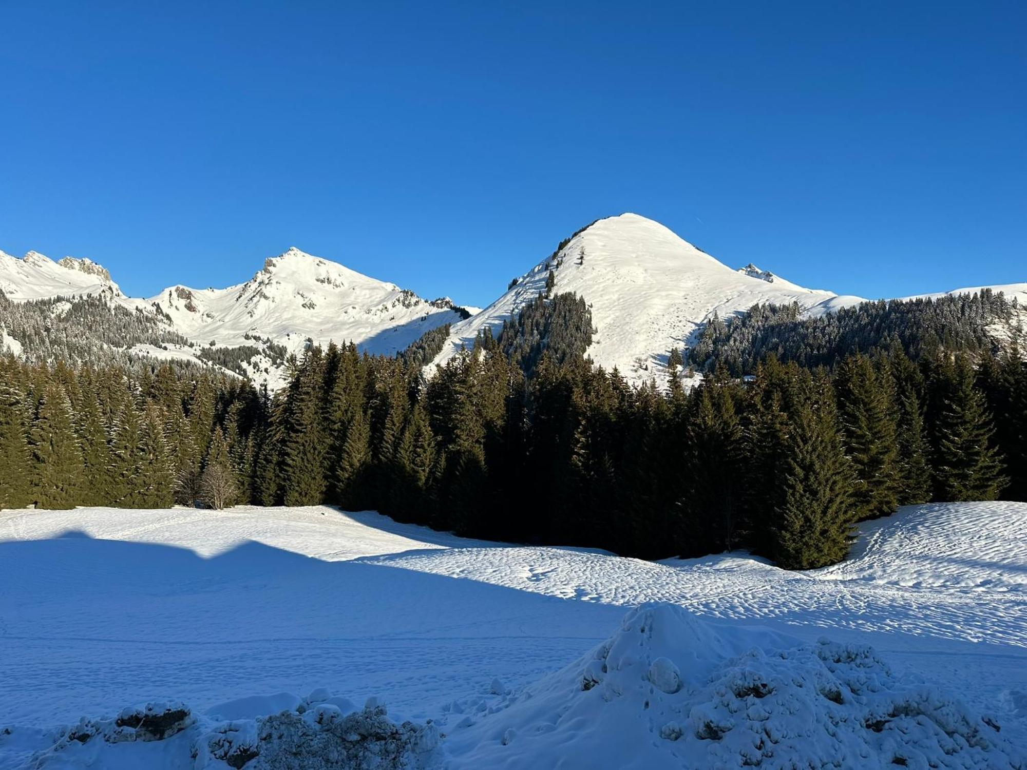 Studio Au Coeur Du Praz-De-Lys - Les Pralyssimes Le Praz de Lys Eksteriør billede