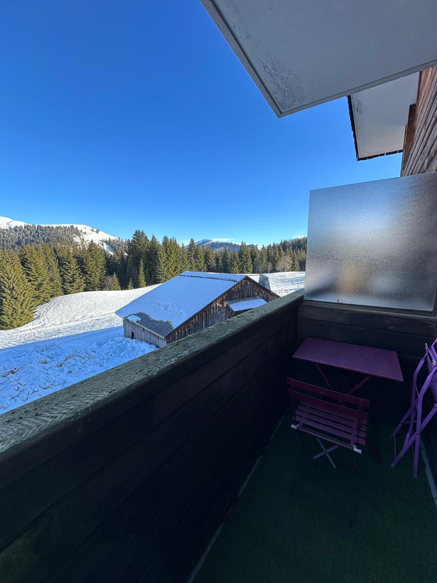 Studio Au Coeur Du Praz-De-Lys - Les Pralyssimes Le Praz de Lys Eksteriør billede