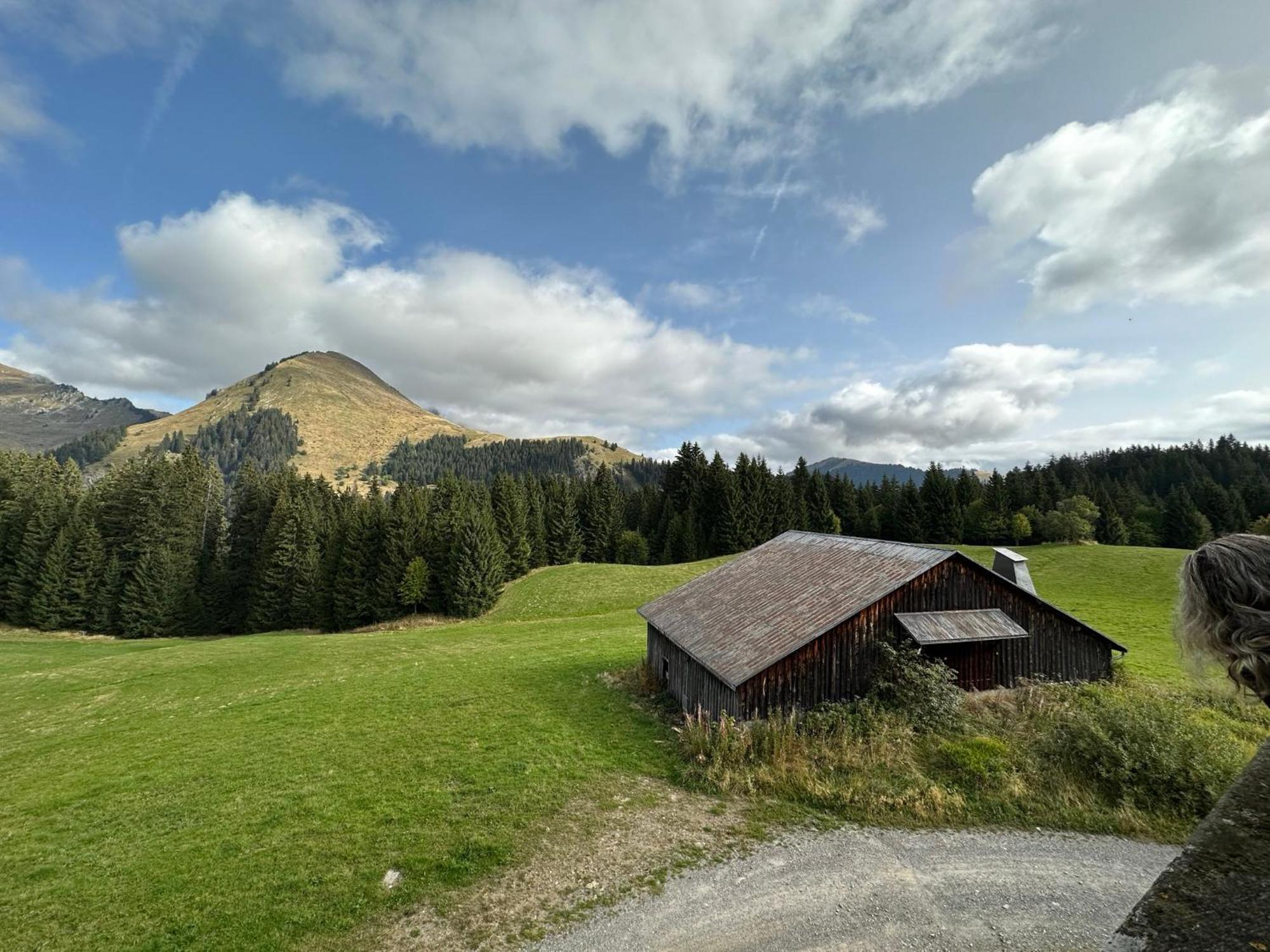 Studio Au Coeur Du Praz-De-Lys - Les Pralyssimes Le Praz de Lys Eksteriør billede