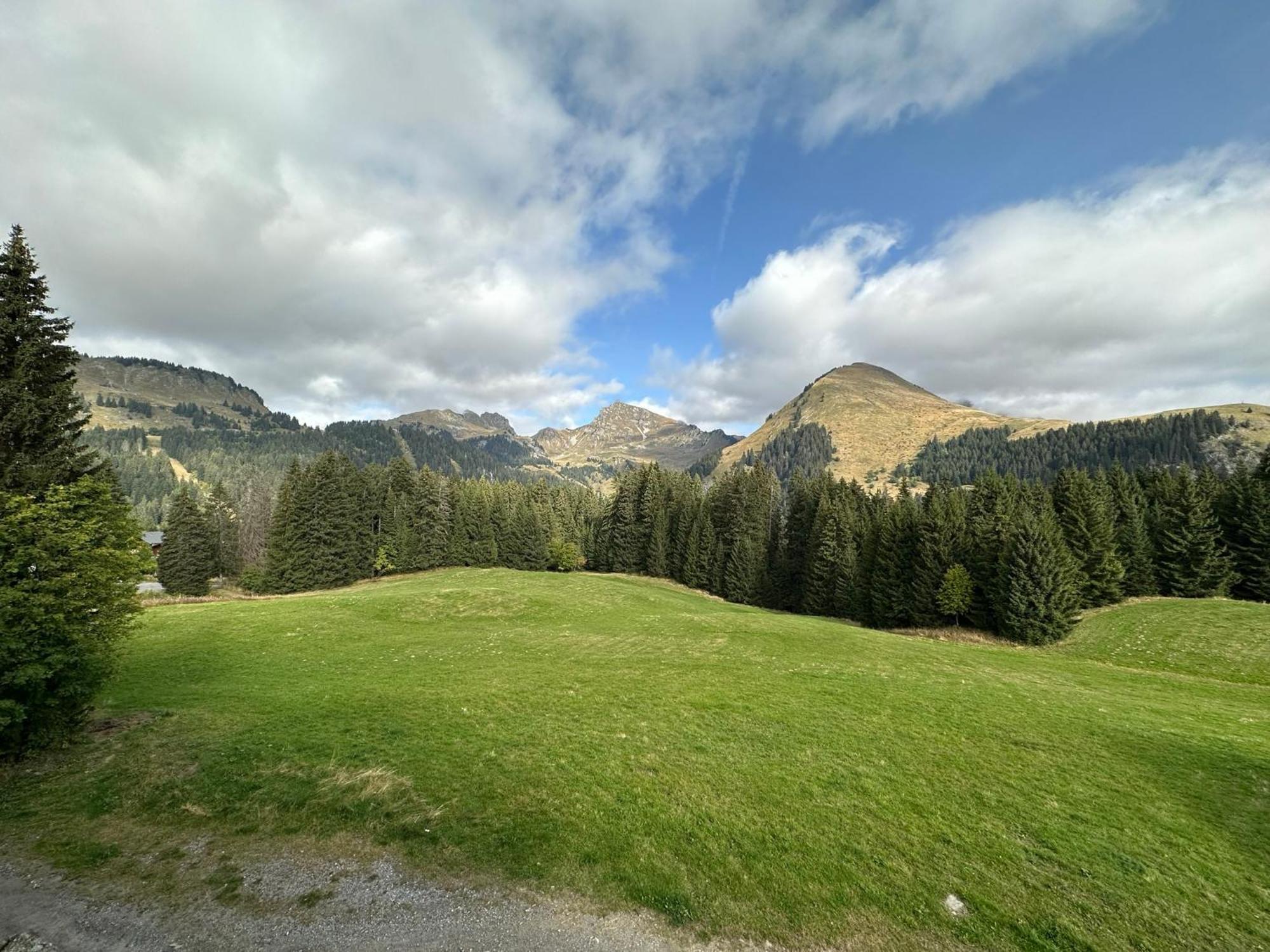 Studio Au Coeur Du Praz-De-Lys - Les Pralyssimes Le Praz de Lys Eksteriør billede