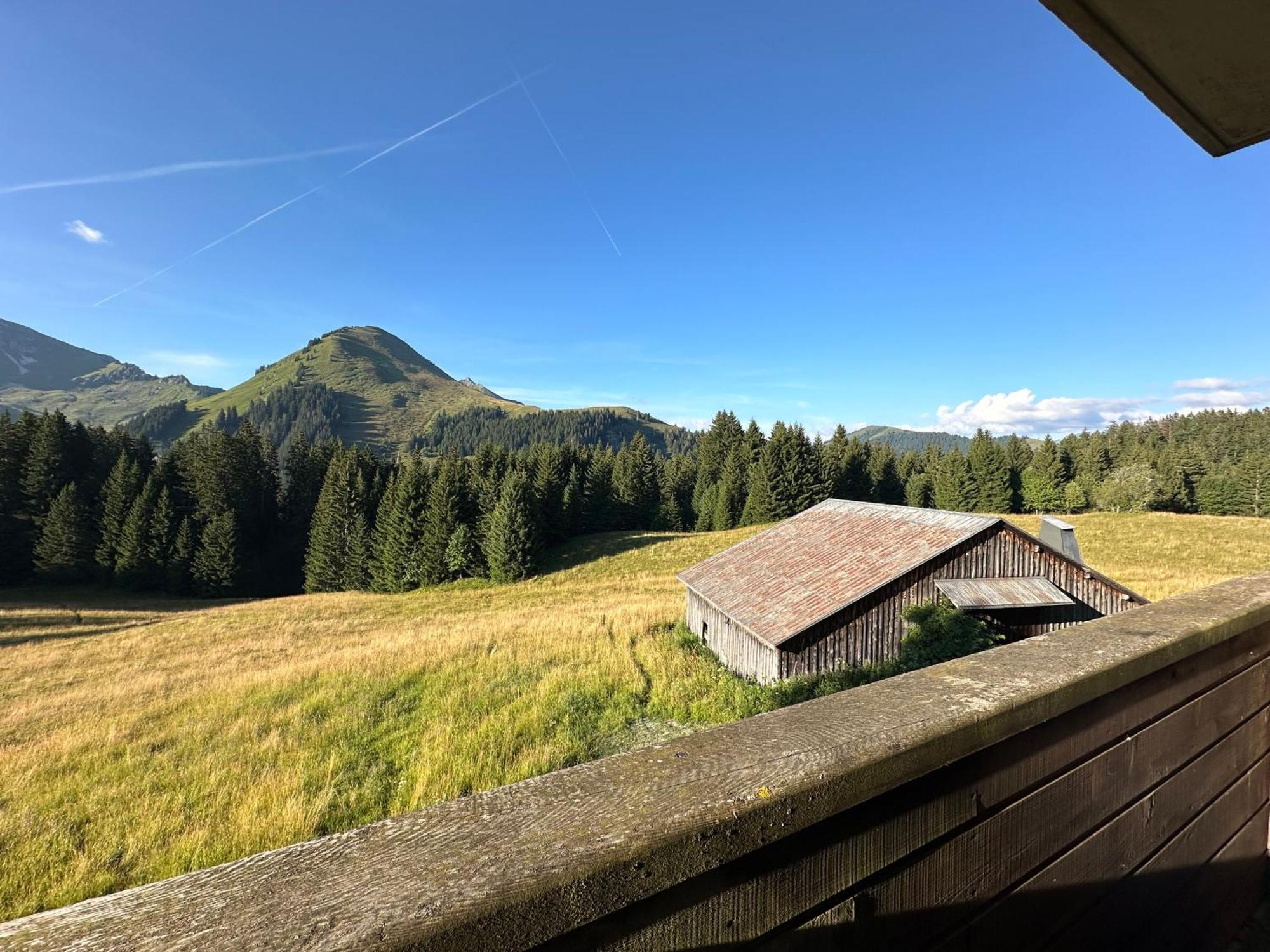 Studio Au Coeur Du Praz-De-Lys - Les Pralyssimes Le Praz de Lys Eksteriør billede