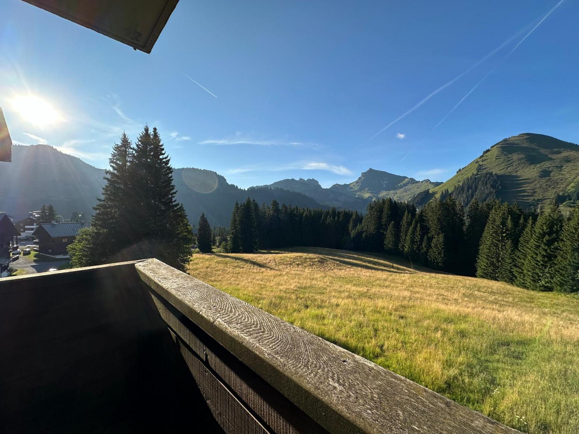 Studio Au Coeur Du Praz-De-Lys - Les Pralyssimes Le Praz de Lys Eksteriør billede